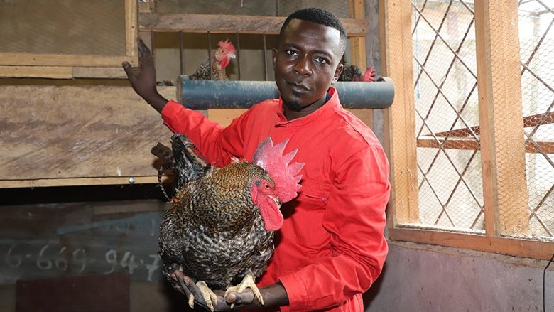 An Education in Poultry Farming for Nzingoula Delaunay
