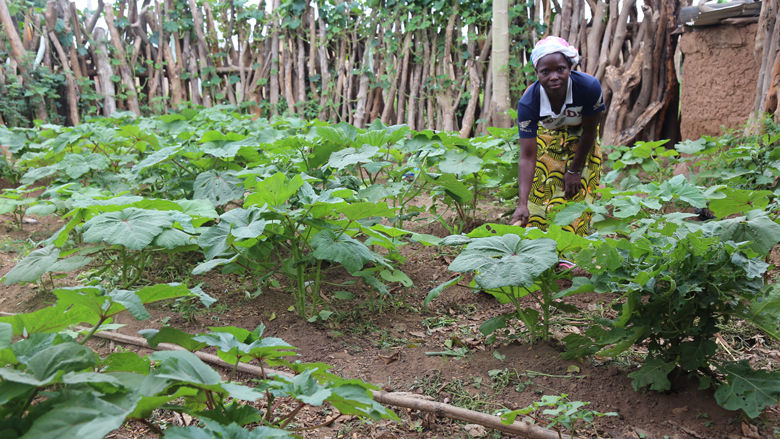 Côte d’Ivoire: a small grant that changes lives