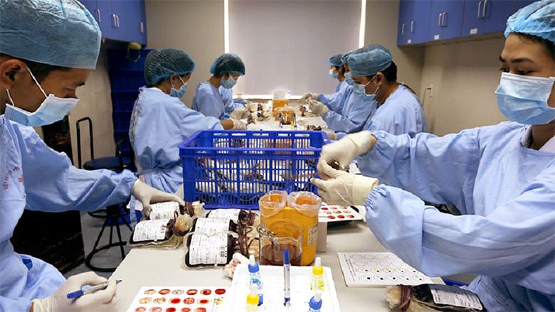 Medical professionals work in a lab