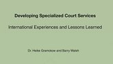 developing specialized court services
