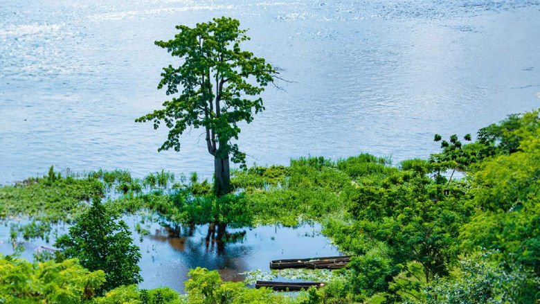 Economic Barometer for the Central African Economic and Monetary Community – December Edition