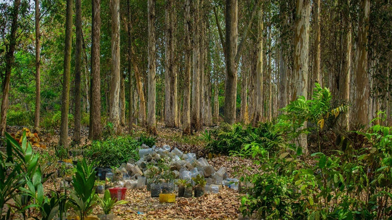 Economic Barometer for the Central African Economic and Monetary Community – December Edition