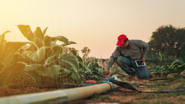 farmer in a field checks a pipeline