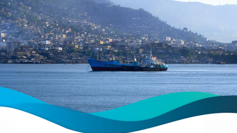 Feed Salone Strategy for the Fisheries and Marine Resource Sectors in Sierra Leone