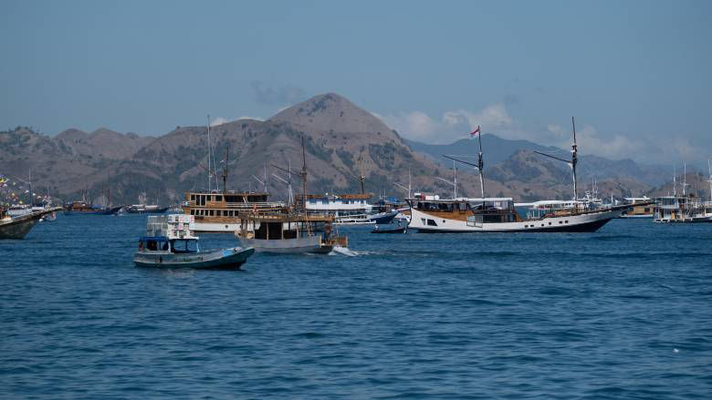 The World Bank's new Framework for Financial Incentives provides dedicated financing for projects with cross-border benefits.