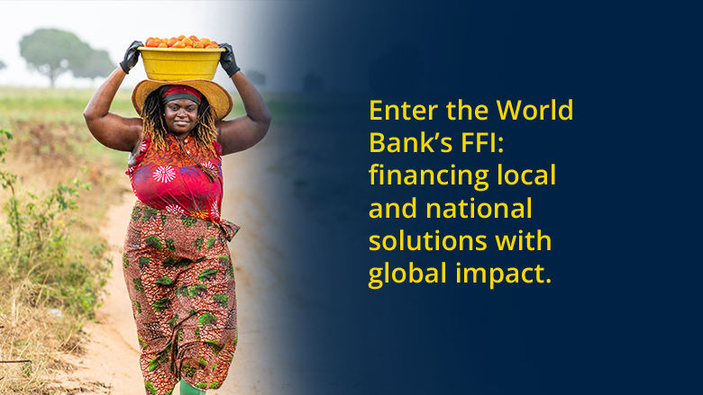 Enter the FFI to finance local and national solutions with global impact.