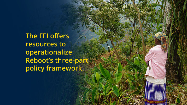 FFI Three-Part Policy Framework