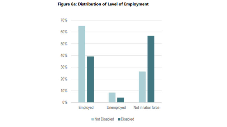 Distribution of Level of Employment