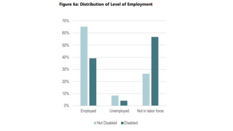 Distribution of Level of Employment