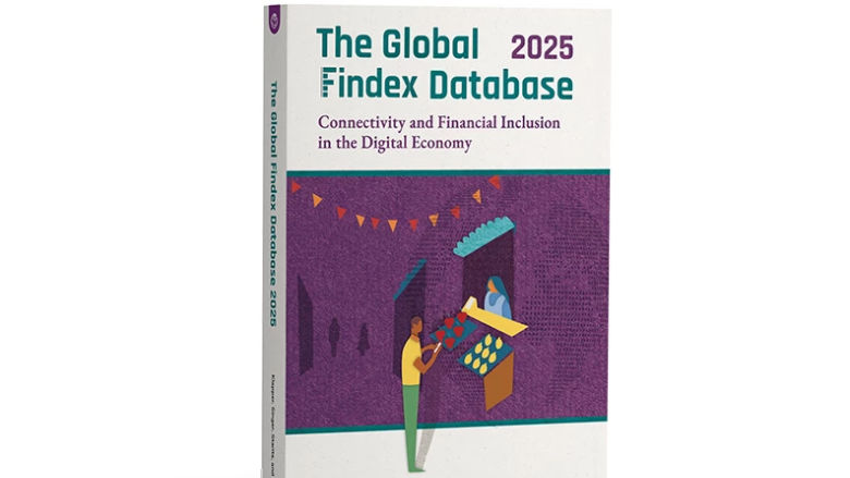 Findex report cover for blogs
