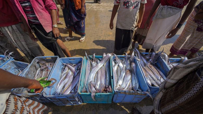 صيادون في الميناء وهم يضعون صيدهم في صناديق قبل بيعها في السوق