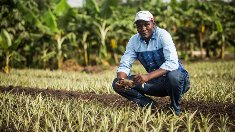 OCP Group and World Bank Join Forces to Boost Food Security and Agricultural Development in West Africa