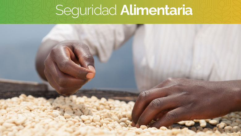 Seguridad Alimentaria