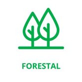 Ícono Forestal - Notas para el desarrollo: Chile cuenta con el Grupo Banco Mundial