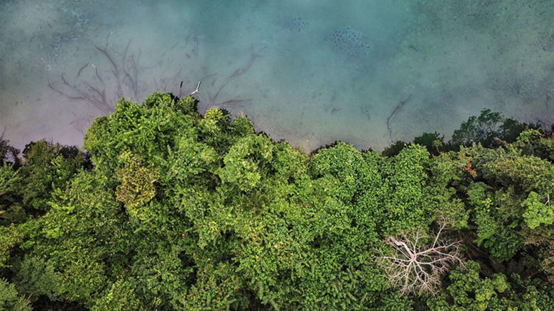 Gabon Economic Update 2024