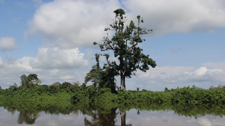 Gabon Economic Update 2025