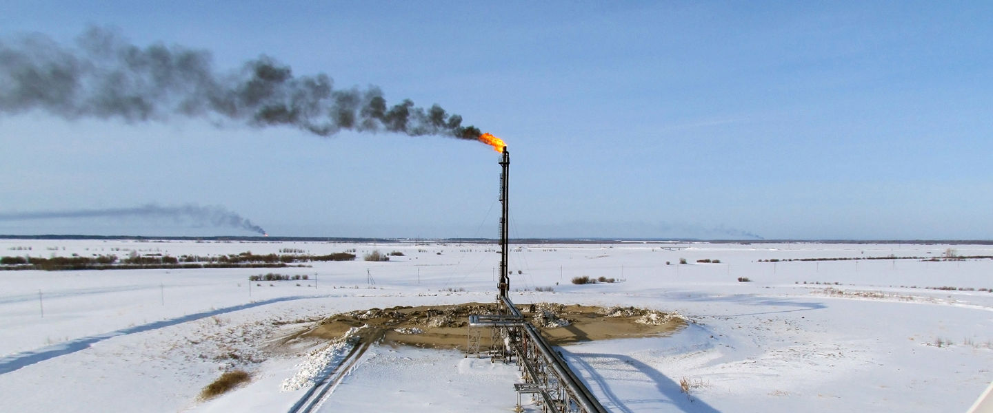 Photo credit: Shutterstock 