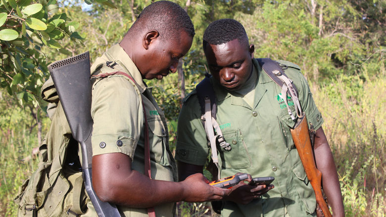 A Game Changer for Mole National Park