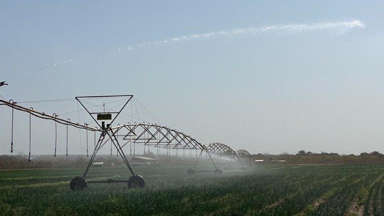 Modern irrigation system in the Gambia
