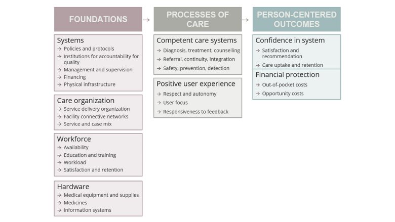 Guiding Framework for the SDI Health Survey
