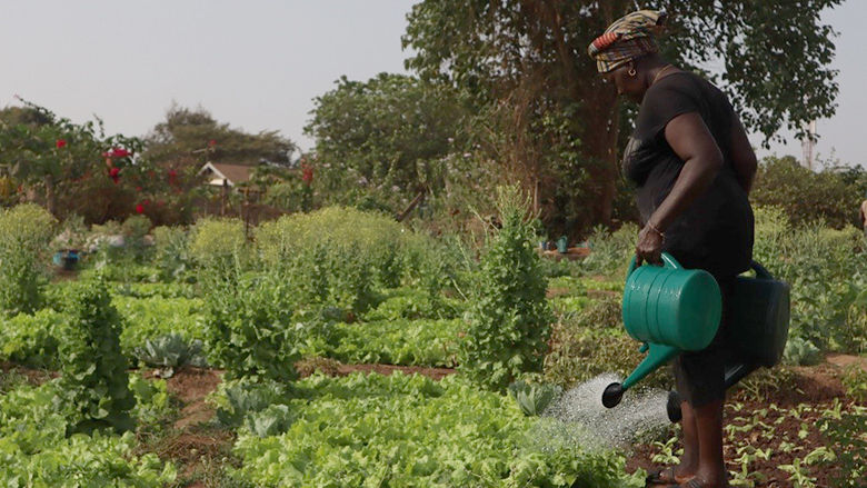 Guinea-Bissau economic growth depends on strengthening gender equality and education 