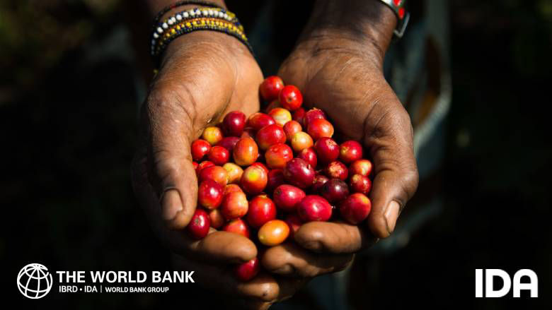 Capital Adequacy in IDA's Hybrid Financial Model