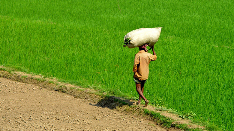 A man carries agricultural products on his head in this stock photo