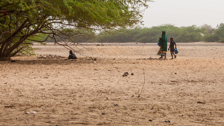High-Level Forum on Defying Drought in West Africa