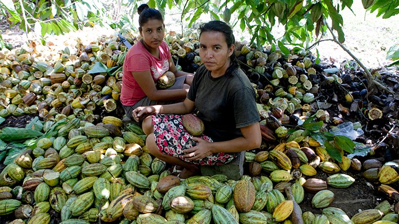 Two young ladies from Honduras seated among harvested cacao pods