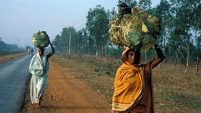 The Road To Rio And Beyond Years On From The Earth Summit