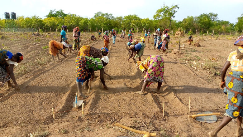 Côte d’Ivoire: Women are winning the fight against malnutrition