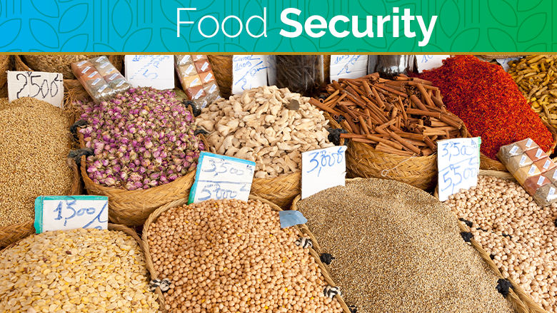 Food security update