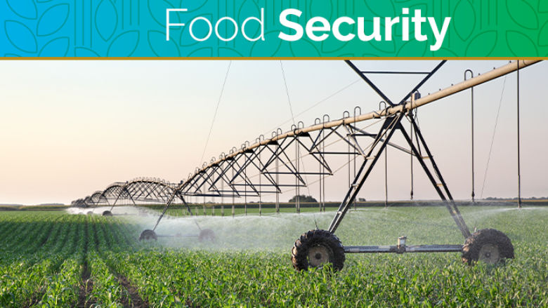 An irrigation system spraying water on a field