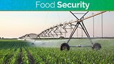 Food Security Update