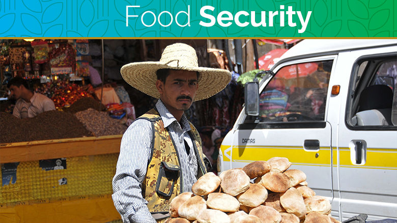 food security update