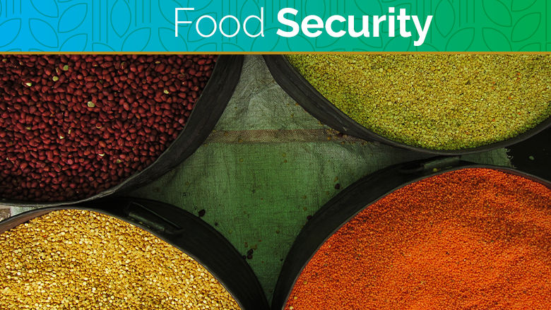 food security update
