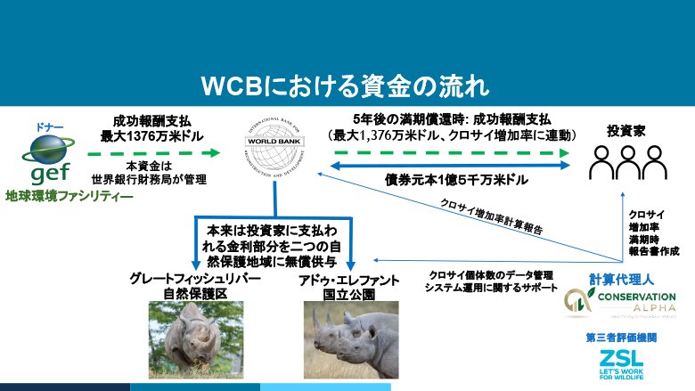 絶滅危惧種保護を資金使途とする世界初の「野生生物保護債券」 絶滅危惧種保護を資金使途とする世界初の「野生生物保護債券」