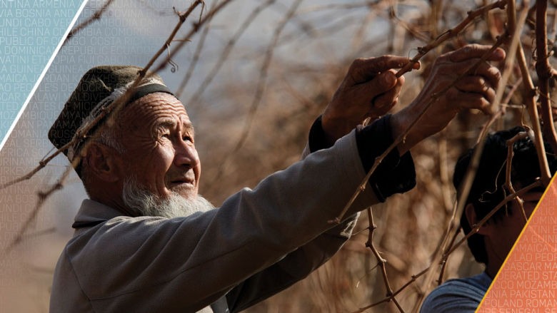 年次報告2022 変化する世界に適応するための途上国支援