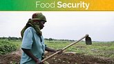 How to manage the world’s fertilizers to avoid a prolonged food crisis