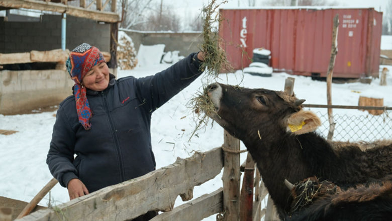 milk production and dairy processing