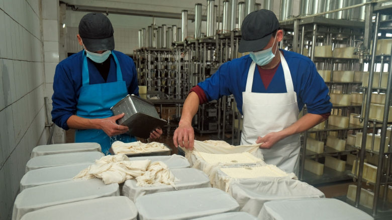 Dairy processing plant.