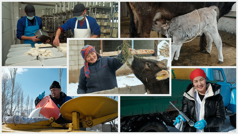 Beneficiaries of the Dairy Productivity Improvement Project