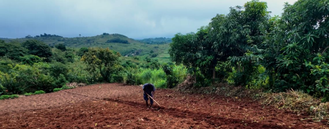 WBG Academy - Repurposing Agriculture Support for Soil Health