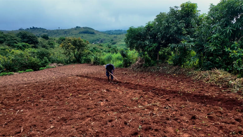 Farmer in Malawi working on a farm.