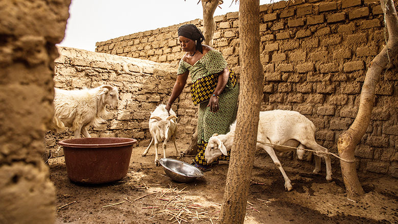Mali: Strengthening Financial Resilience to Recurrent Droughts