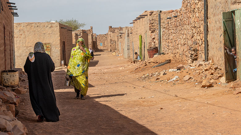 Mauritania Economic Update : Navigating the Storm