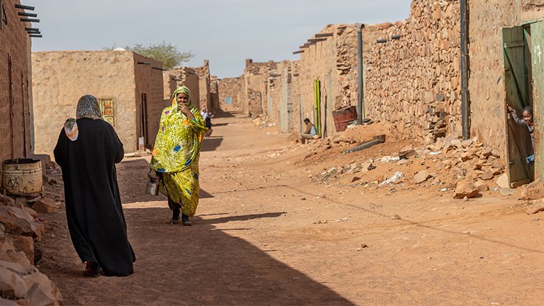 Mauritania Economic Update : Navigating the Storm