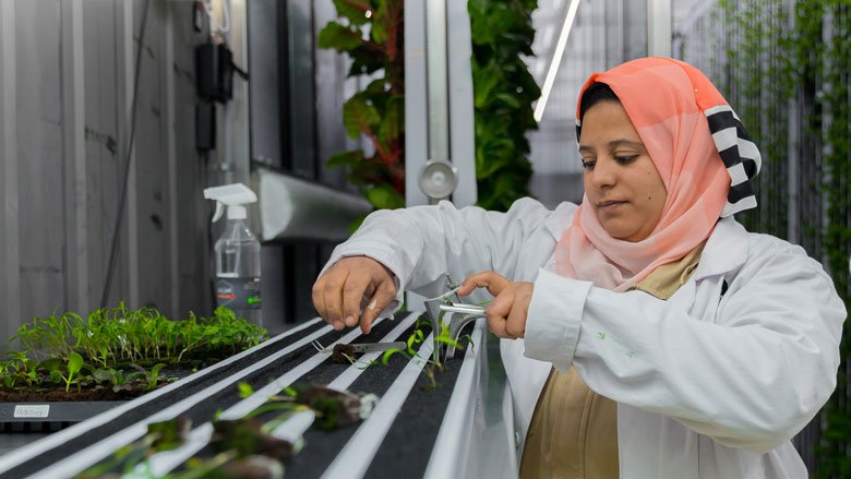 احدى الاخصائيات في مزارع توليمة، واحدة من أولى شركات الصناعات الزراعية المراعية للمناخ في مصر 