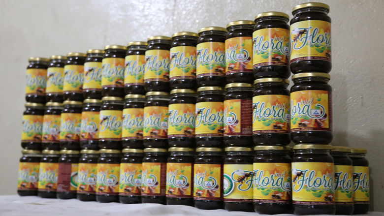 Benin Eco-Friendly Honey Production