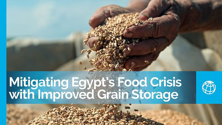 Egypt is facing a food security crisis Mitigating Egypt's Food Crisis with Improved Grain Storage